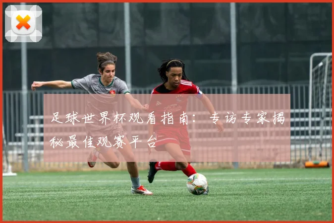 足球世界杯观看指南:专访专家揭秘最佳观赛平台